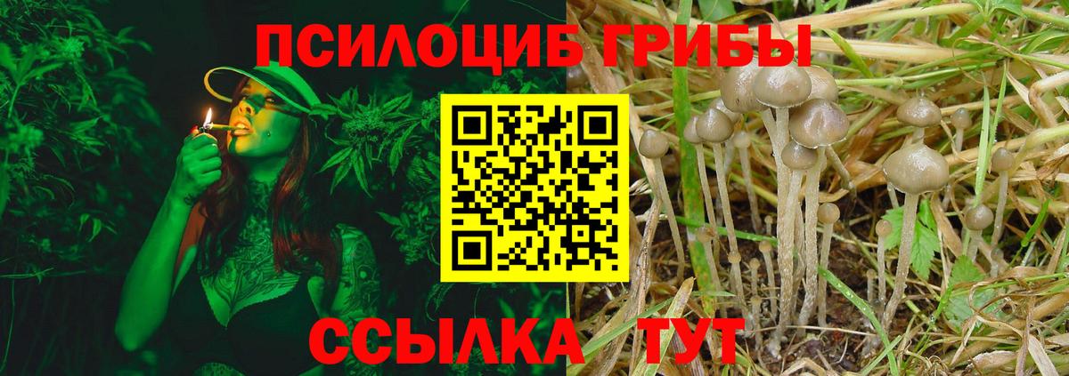 Дзержинский  Галлюциногенные грибы GOLDEN TEACHER  Галлюциногенные грибы GOLDEN TEACHER  Вход с VPN 
